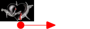 zum BLOG
